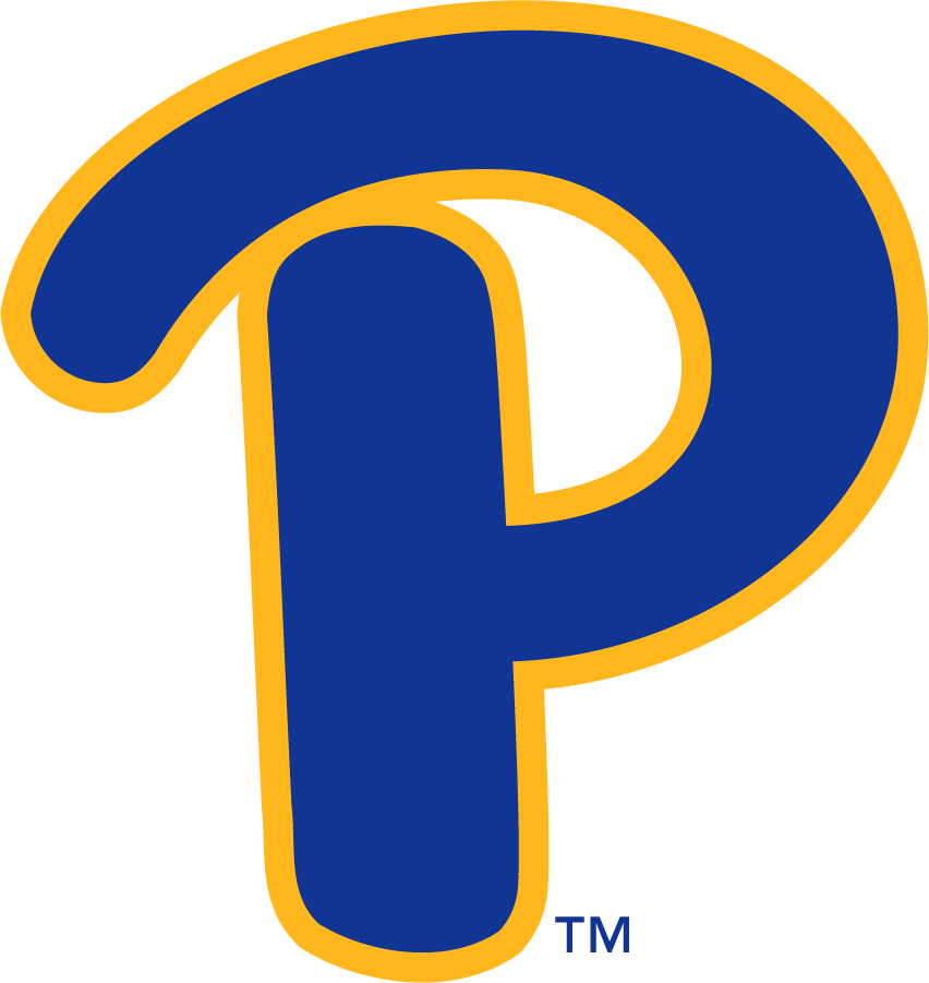 Pittsburgh Panthers 2019-Pres Secondary Logo v3 diy DTF decal sticker